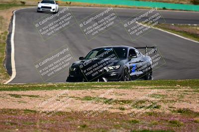 media/Feb-25-2024-Speed Ventures (Sun) [[b9a2a97a4d]]/Mustang Drivers Club/Session 3 (Turn 2)/